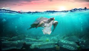Más de 10 millones de toneladas de plástico se vierten cada año en los océanos