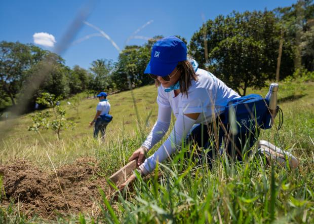 Banco Popular planta 3,260 árboles junto a proveedores y voluntarios de la organización