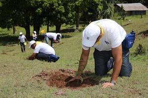 Con estas jornadas de reforestación, realizadas junto al Plan Sierra desde hace más de 20 años, el Grupo Popular, sus filiales y su fundación contribuyen a la recuperación de la capa boscosa del Cibao y la región norte.