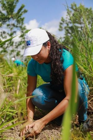 Grupo Popular contribuye a la regeneración boscosa de la cuenca alta del Ozama 