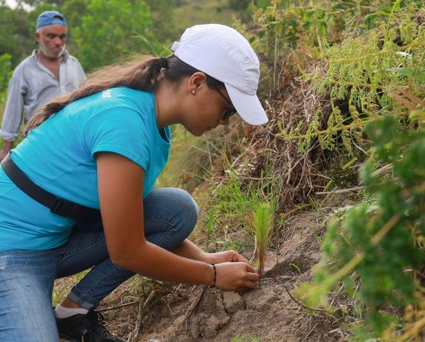 Esta jornada de reforestación contribuye a la regeneración boscosa de la cuenca alta del Ozama.