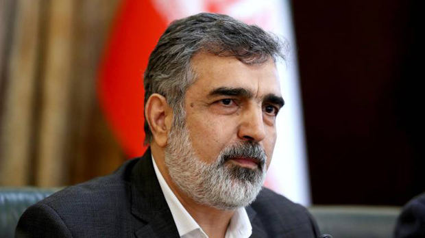 El portavoz de la Agencia de Energía Atómica de Irán, Behruz Kamalvandí.