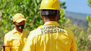 Medio Ambiente mantiene bajo control incendio forestal en Sierra de Bahoruco