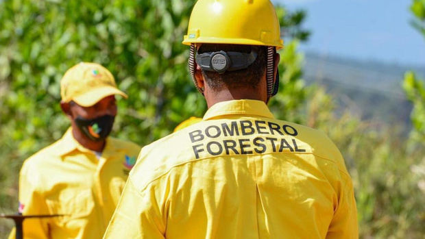 Medio Ambiente mantiene bajo control incendio forestal en Sierra de Bahoruco.