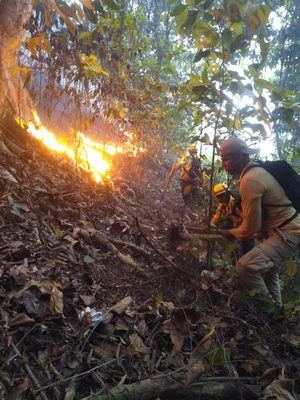 Bomberos forestales siguen combatiendo el incendio en Saltos de Jima.