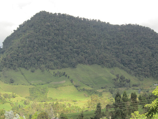 Más de 100 nuevos protectores cuidarán los páramos del centro de Colombia