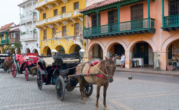 Los célebres coches de caballos de Cartagena: ¿un oficio o maltrato animal?
