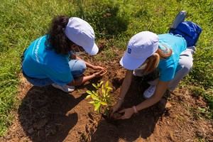 En esta última siembra del mes de octubre, se reforestaron 40 tareas.