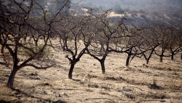 Cambio Climático