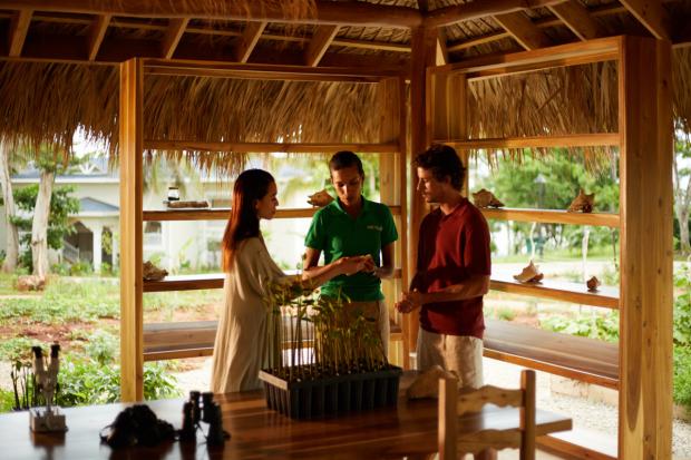 Cayo Levantado Resort: Un modelo de conservación ambiental en el Caribe