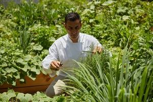 Cayo Levantado Resort: Un modelo de conservación ambiental en el Caribe