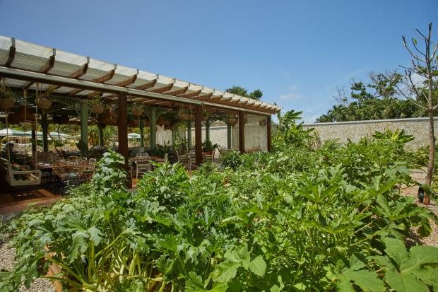 Cayo Levantado Resort: Un modelo de conservación ambiental en el Caribe