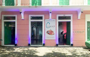 Codap presenta su exposición colectiva: “Renacer, nueva directiva e invitados”