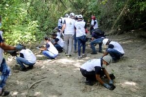 Con el auspicio de Cristal de Caña voluntarios de CAEI plantan 1,800 mangles y caoba