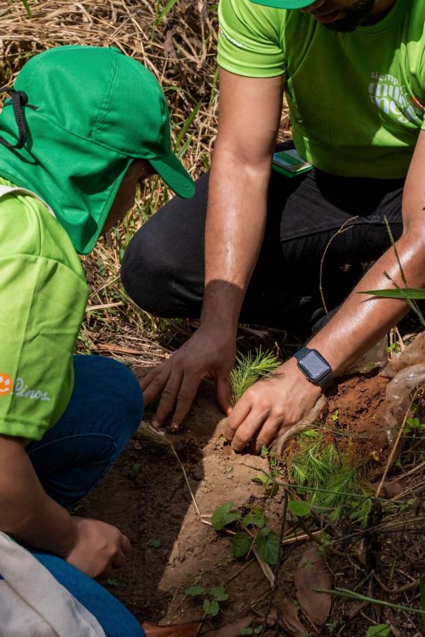 Dos Pinos realiza jornada de reforestación en el mes de Medio Ambiente