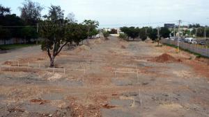 Objetan permiso para estación de pasajeros en Parque Mirador del Este