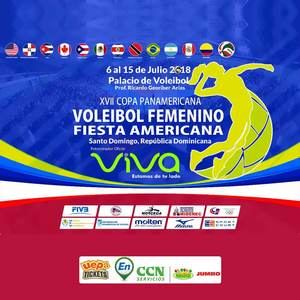 Copa de voleibol