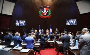 Los diputados seguirán el debate del Código Penal