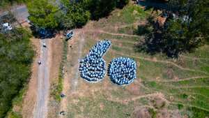 Símbolo en conmemoración del 60 aniversario del banco hecho por los empleados
voluntarios en la jornada.