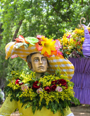 Festival de las flores evoca la belleza de los recursos naturales de Jarabacoa 