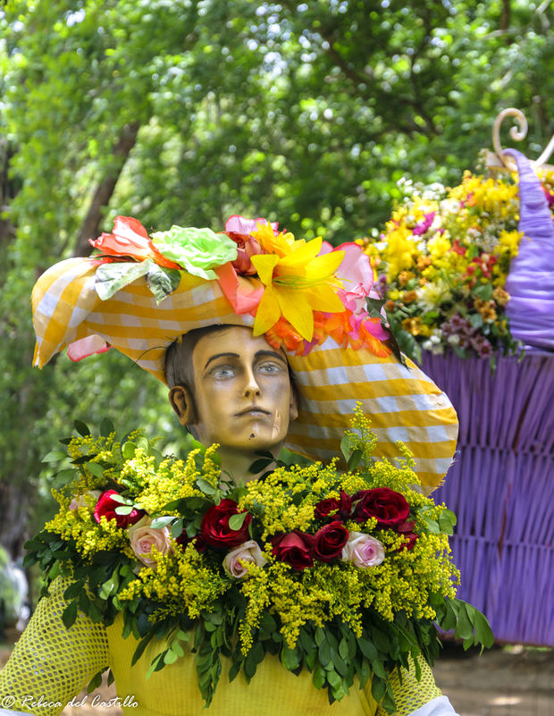 Festival de las flores.