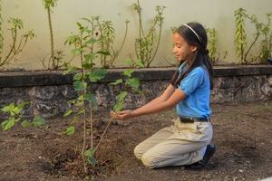 Los estudiantes estarán en contacto con la naturaleza a través de la siembra de plantas alimenticias, medicinales, flores y árboles.