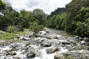 Medio Ambiente sanciona a 4 policías que lanzaron neumáticos al río Jagua
