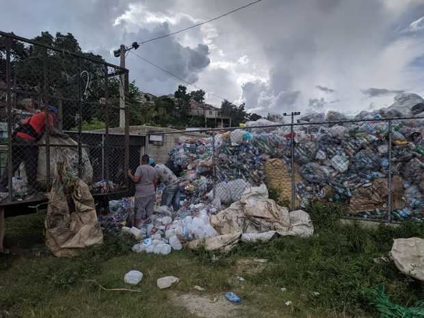 Día Mundial del Medio Ambiente.