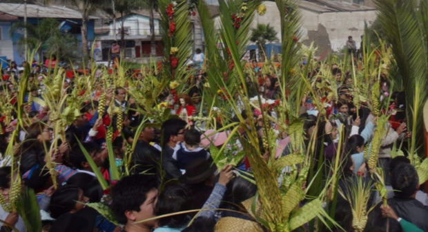 Celebración del domingo de ramos.