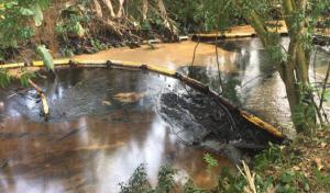 Procuraduría cita a Ecopetrol por desastre ambiental en noreste de Colombia