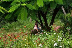 El Palero: turismo comunitario sostenible en la sierra de Santiago Rodríguez