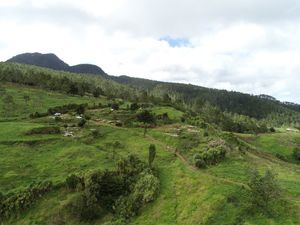 Afirman zona protegida en Valle Nuevo está libre de labores agrícolas y asentamientos