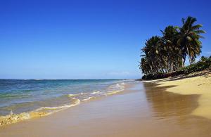 Ambiente favorable para todo tipo de actividad al aire libre
 