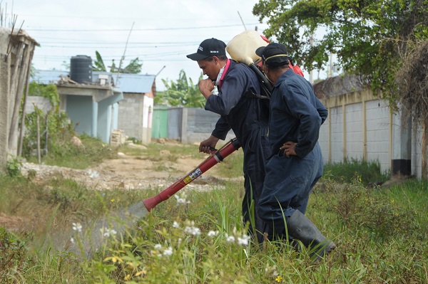 Empleados de Salud Pública en labores de fumigación