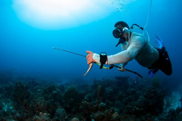 Estudio busca concientizar sobre prácticas de pesca sostenible