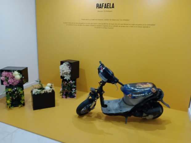 Exhibición Rafaela en exposición Metamorfosis.