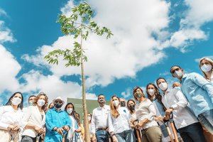 Entidades lanzan Plan de Arbolado del DN "Siembra tu Ciudad"