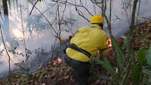 Ministerio de Medio Ambiente mantiene controlado incendio forestal en Barahona