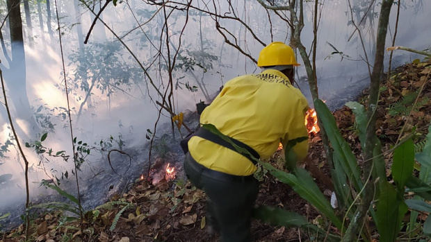 Ministerio de Medio Ambiente mantiene controlado incendio forestal en Barahona.