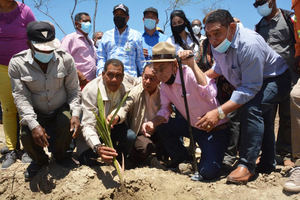 FEDA siembra cocos Región Enriquillo