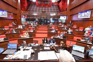 Senado modifica Ley rige la Policía Nacional y aprueba uso de videocámaras en uniformes