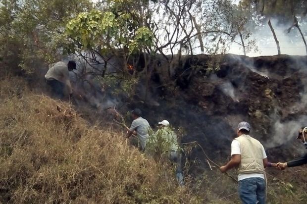 Fuego forestal.