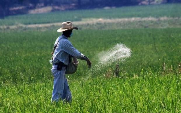 BID Invest destaca oportunidades para agronegocios en informe sobre transformación digital.