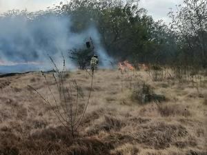 Envían a prisión preventiva a nueve hombres provocaron incendio en Punta Cana