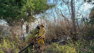 Queda controlado el incendio que afecta al Parque Nacional Valle Nuevo.