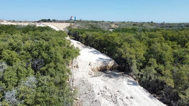 Denuncian que obras del muro fronterizo están destruyendo área de manglares.