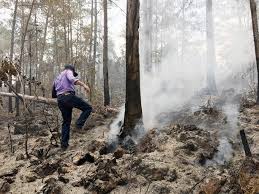 Academia de Ciencias pide someter responsables del incendio en la Sierra de Bahoruco