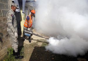 República Dominicana confirma tres muertes por dengue y estudia 5 casos más
 