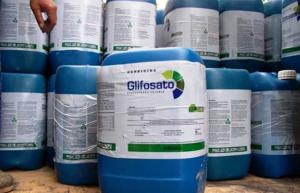 Monsanto condenada a pagar 252 millones de euros a un hombre con cáncer por uso de glifosato