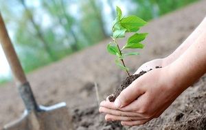 2019 debe ser el año para encarrilar una nueva década ecologista